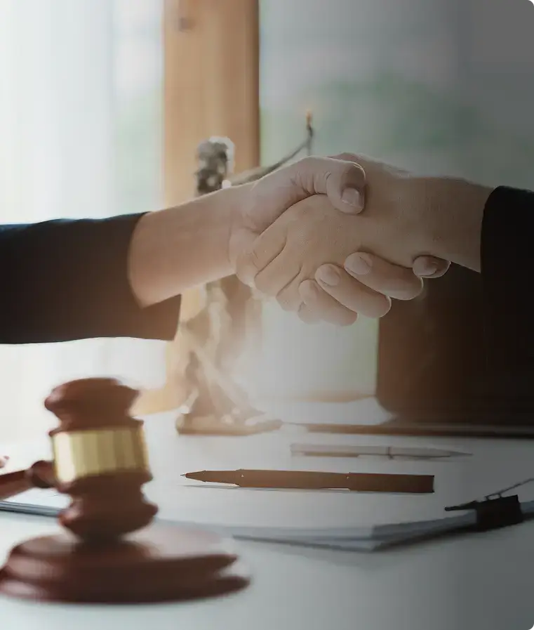 A firm handshake between two people