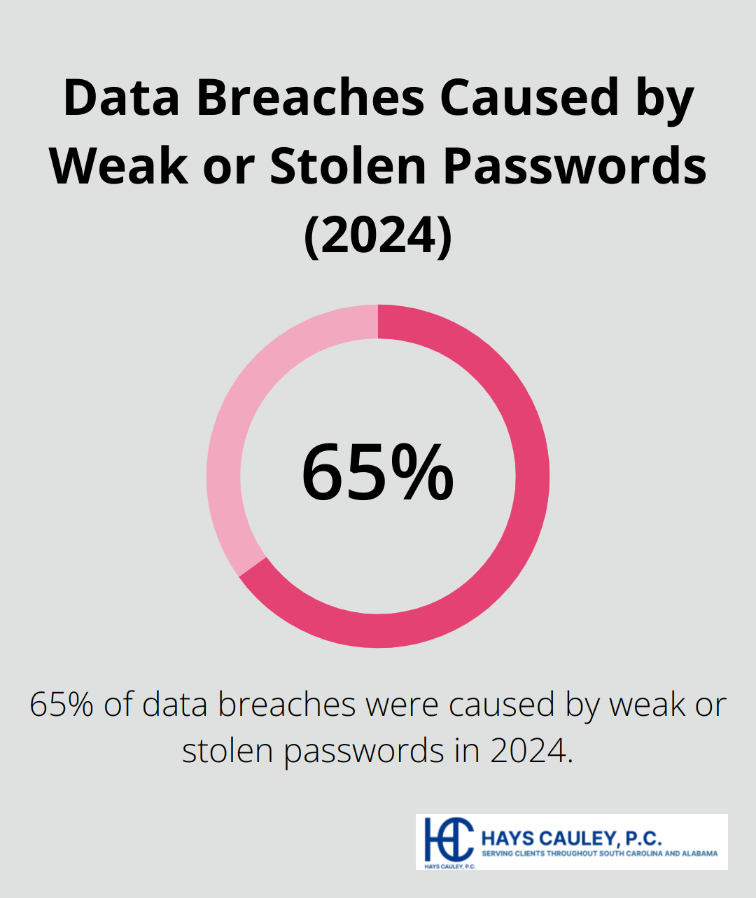 Pie chart illustrating that 65% of data breaches were caused by weak or stolen passwords in 2024 - aggravated identity theft