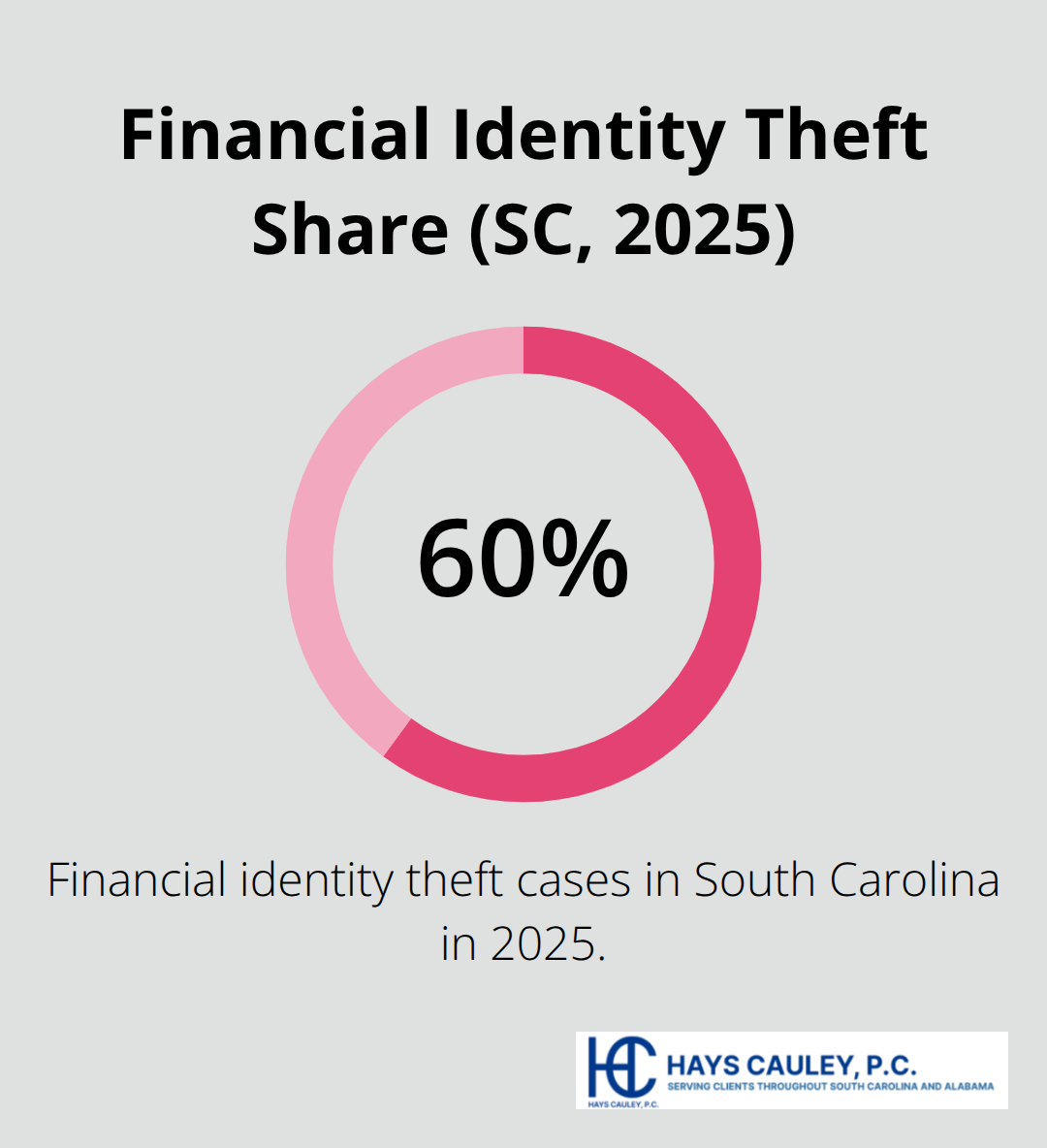 Percentage of identity theft cases that were financial in South Carolina in 2025 - Identity theft legal help